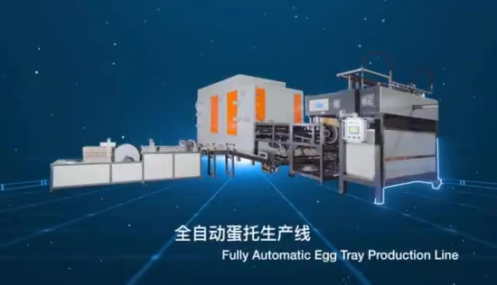 乾燥機能付き自動卵トレイ価格成形パルプボックスマシン高品質